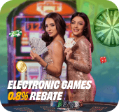 Electronic Games 0.8% Rebate for Member!